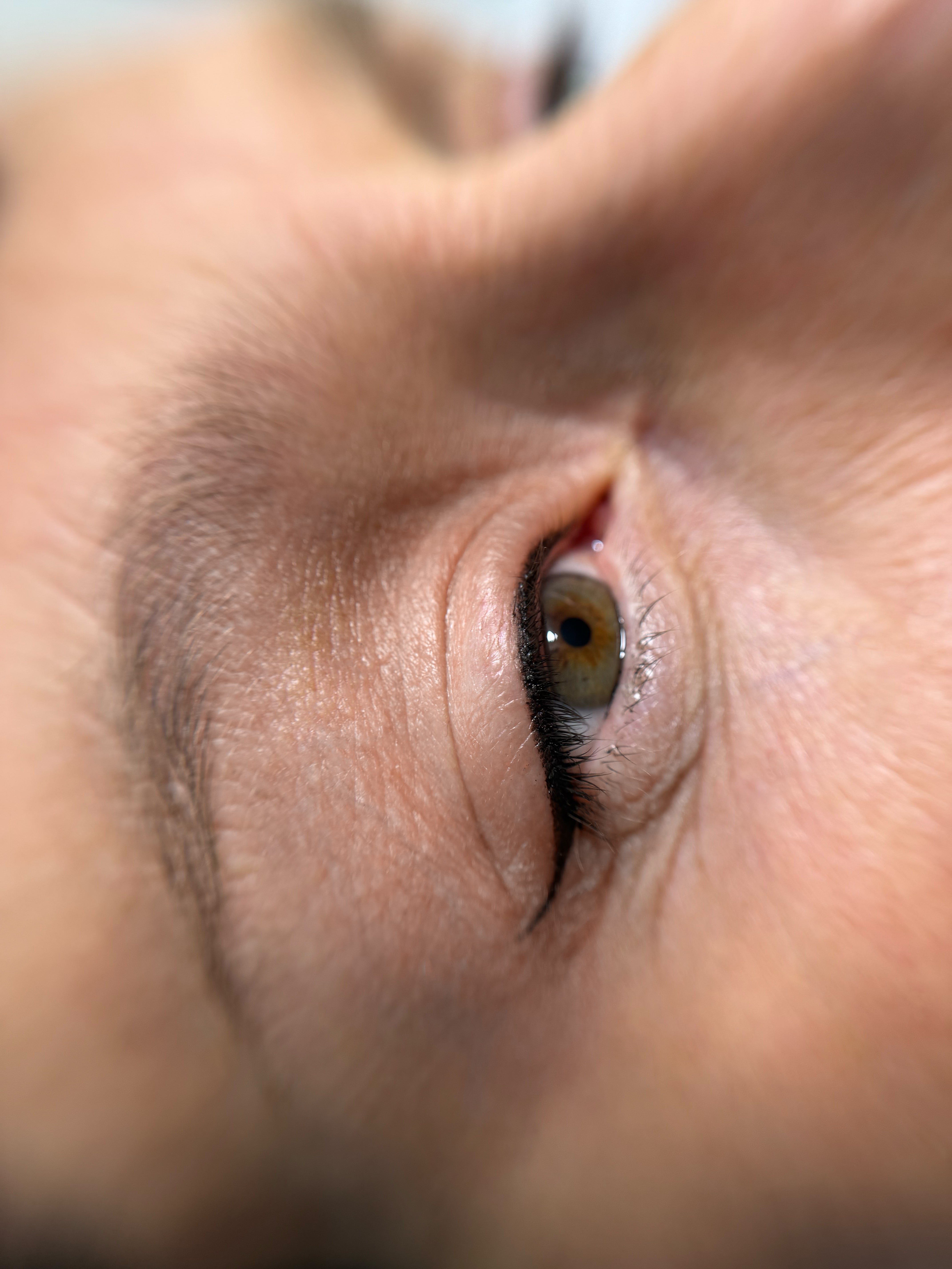 Pigmento ABSOLUTE BLACK - ABSOLUTE INK™